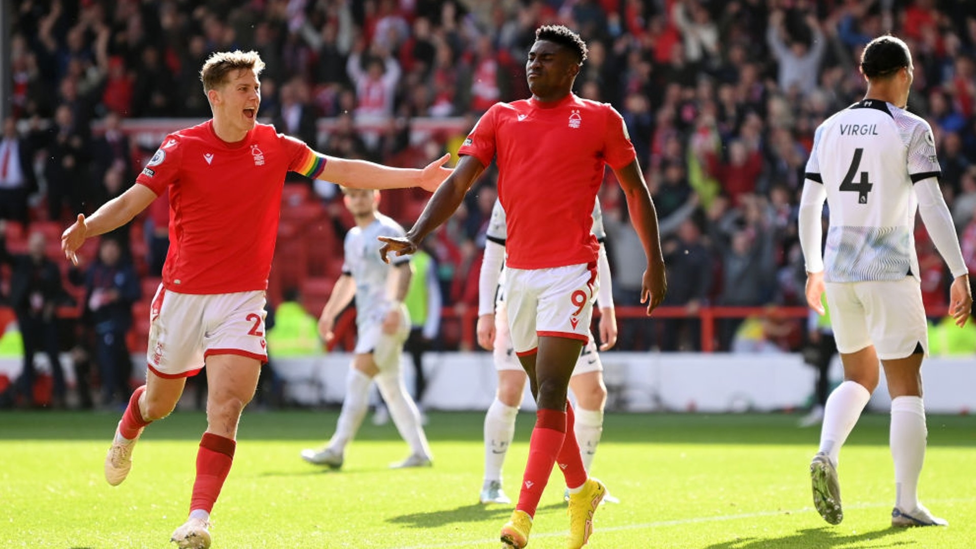 部在培养年 部在培养年